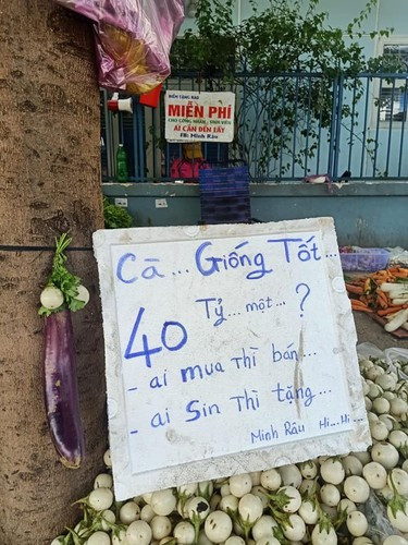 Phía dưới bài đăng cũng có rất nhiều lời ngợi khen gửi đến Minh Râu vì hành động dễ thương của anh.