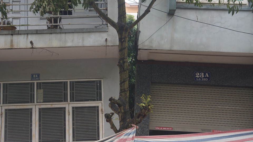 Nha 4 tang nghieng trong dem, dan lo so ban nhau ra khach san lanh nan-Hinh-2