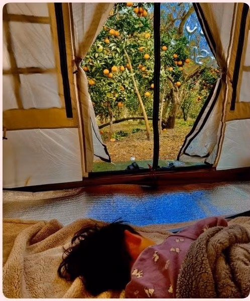 Mộc Châu - nằm ở phía Đông Nam tỉnh Sơn La, cách trung tâm thành phố Hà Nội khoảng 180km.