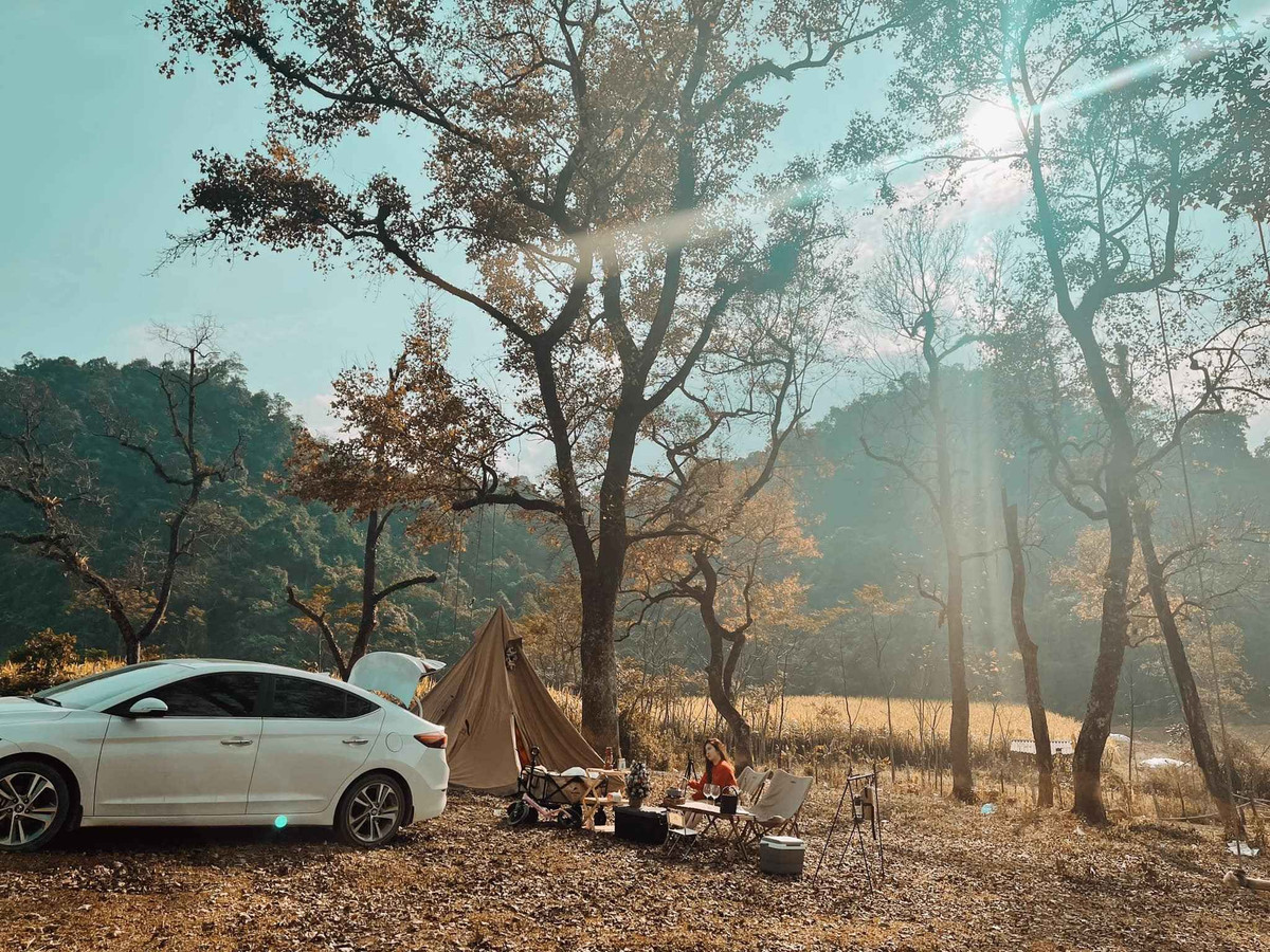 Không chỉ có cảnh quan thiên nhiên đẹp, cuộc sống của người dân Bãi Bùi cũng rất yên bình. Vào buổi sáng, trên bãi cỏ có những đàn trâu, đàn bò của người dân thong dong gặm cỏ hay đẫm mình dưới bùn tắm mát. Các nhà dân ở địa phương đều có vườn trồng rau, cây trái trước nhà giúp quang cảnh trông vô cùng giản dị, nhẹ nhàng.