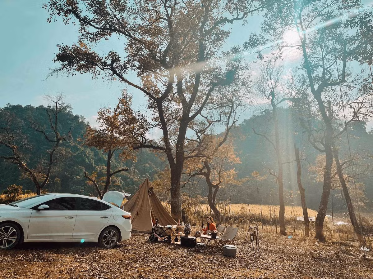 Không chỉ có cảnh quan thiên nhiên đẹp, cuộc sống của người dân Bãi Bùi cũng rất yên bình. Vào buổi sáng, trên bãi cỏ có những đàn trâu, đàn bò của người dân thong dong gặm cỏ hay đẫm mình dưới bùn tắm mát. Các nhà dân ở địa phương đều có vườn trồng rau, cây trái trước nhà giúp quang cảnh trông vô cùng giản dị, nhẹ nhàng.