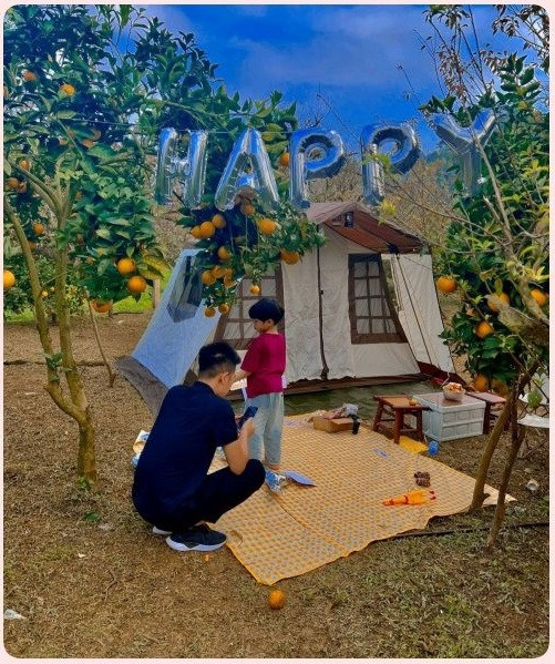 Mộc Châu dịp Tết có cảnh quan thiên nhiên rất đẹp với hoa đào, hoa mận, hoa mơ, hoa cải... nở rộ tạo nên bức tranh nhiều màu sắc.