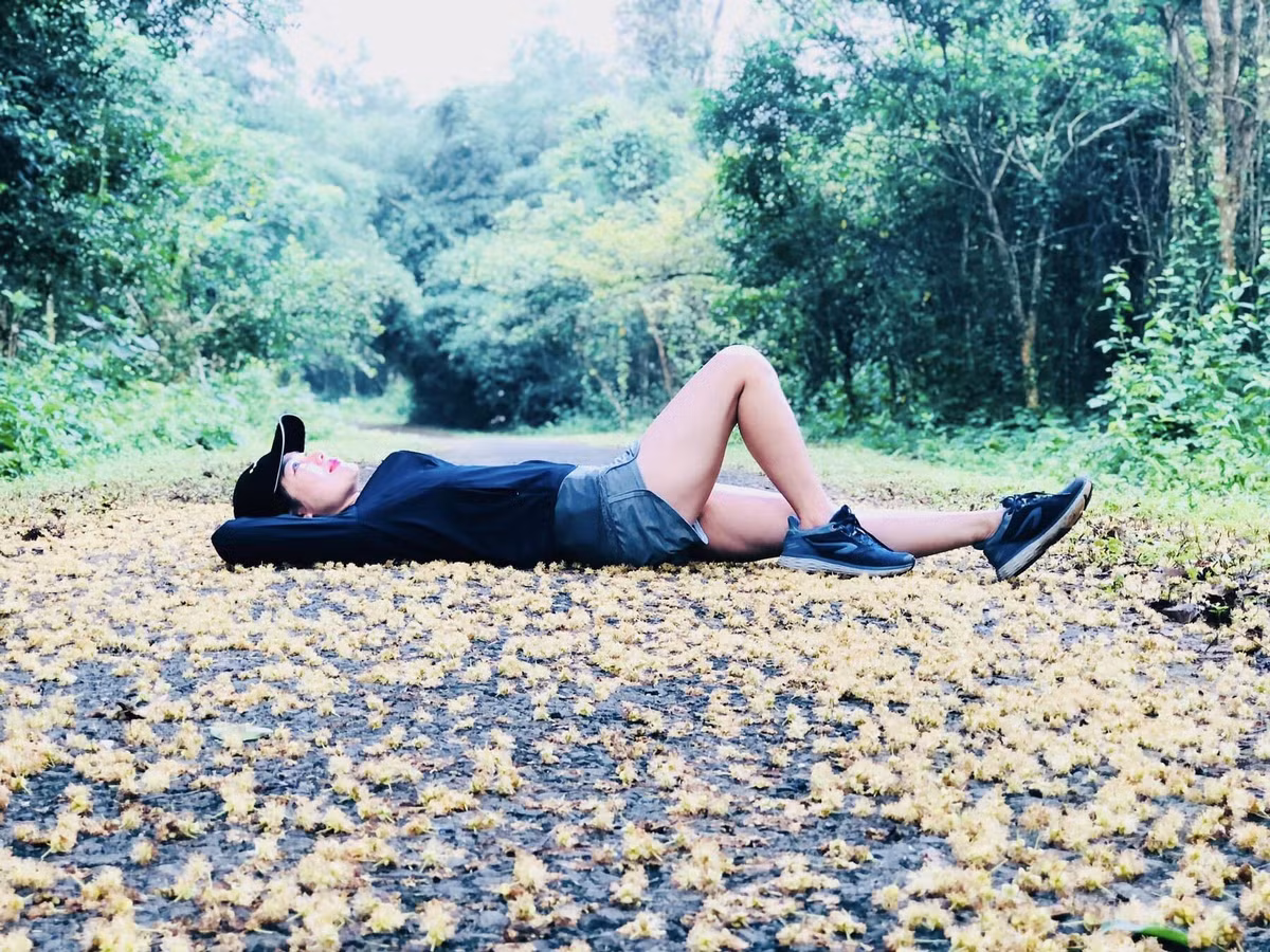 Gắn bó với Vườn cổ tích 3 năm, Bạch Dương chuyển sang Hành trình văn hoá, đây là chương trình mua bản quyền nước ngoài và được đánh giá thành công.