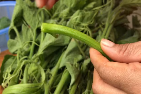 Mach ban cach tuoc rau bi vua non mem vua sach lai nhanh hon trong thay