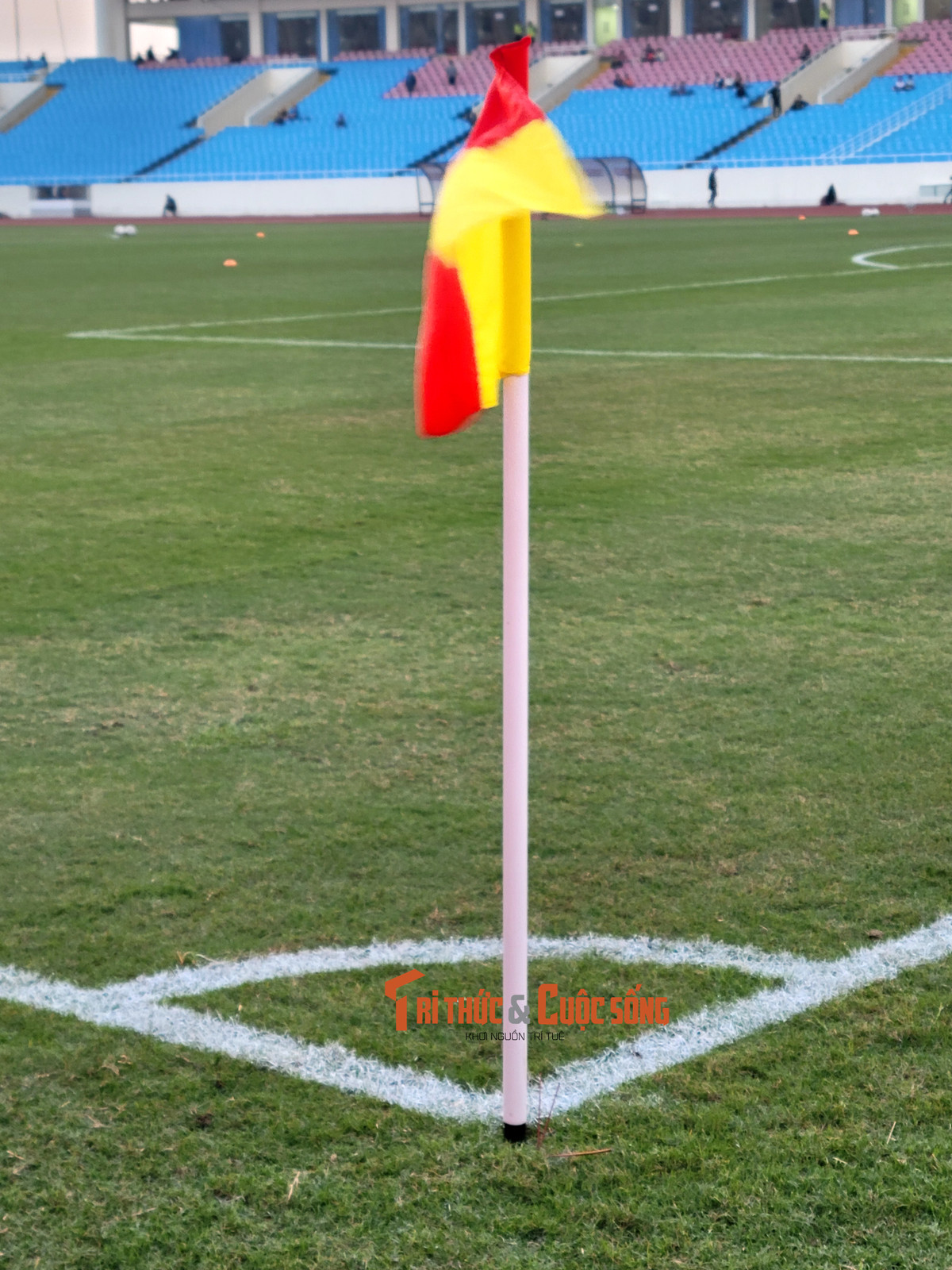 Tuyen Viet Nam danh roi tran hoa dang tiec truoc Iraq-Hinh-13