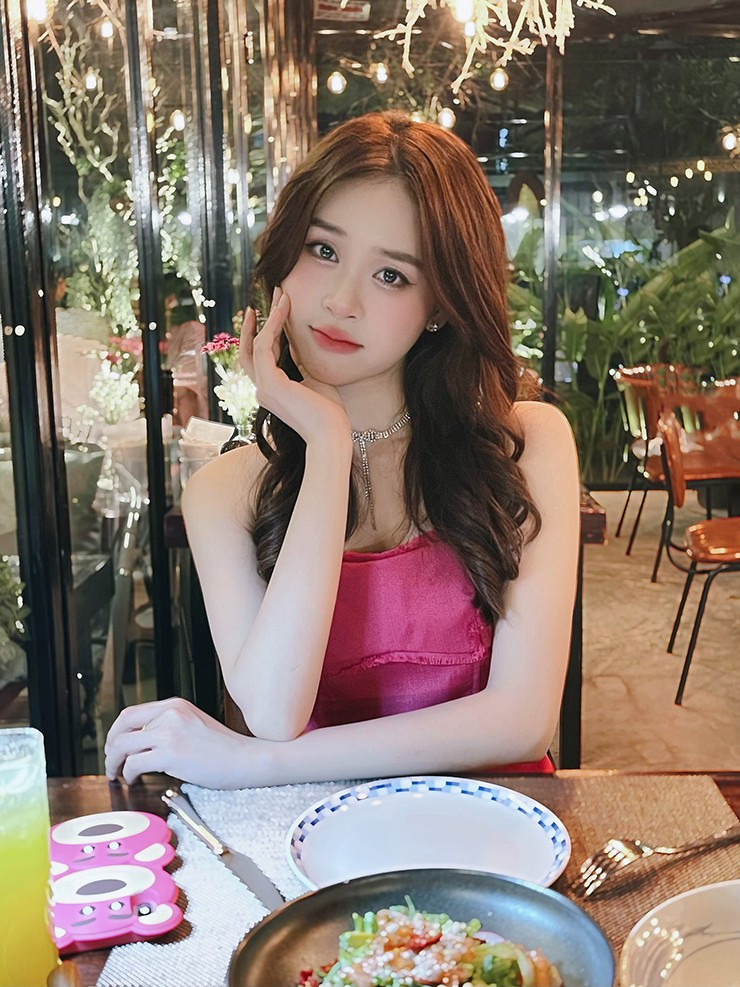 Thảo Vi hiện đang làm cộng tác viên ở Đài Phát thanh và Truyền hình Nghệ An với vai trò MC.