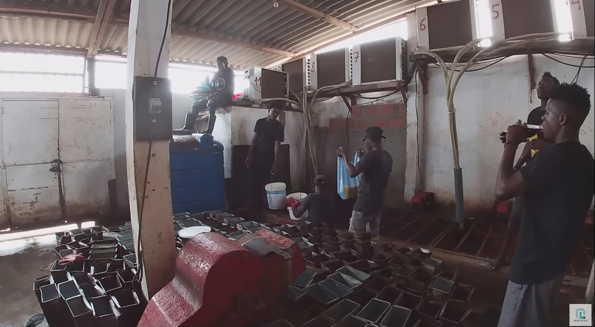 Tuy nhiên. đó chỉ là cách chàng trai xứ Nghệ nói vui thôi, còn thực tế cuộc sống và công việc ở đây vất vả, khó khăn hơn nhiều so với những gì xuất hiện trên video của Quang Linh Vlogs.