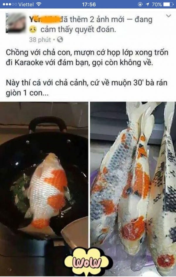 Trước đó, trường hợp một đàn cá coi tiền trăm triệu của chồng bị vợ đem ra làm thịt chỉ vì tội đi nhậu không về.