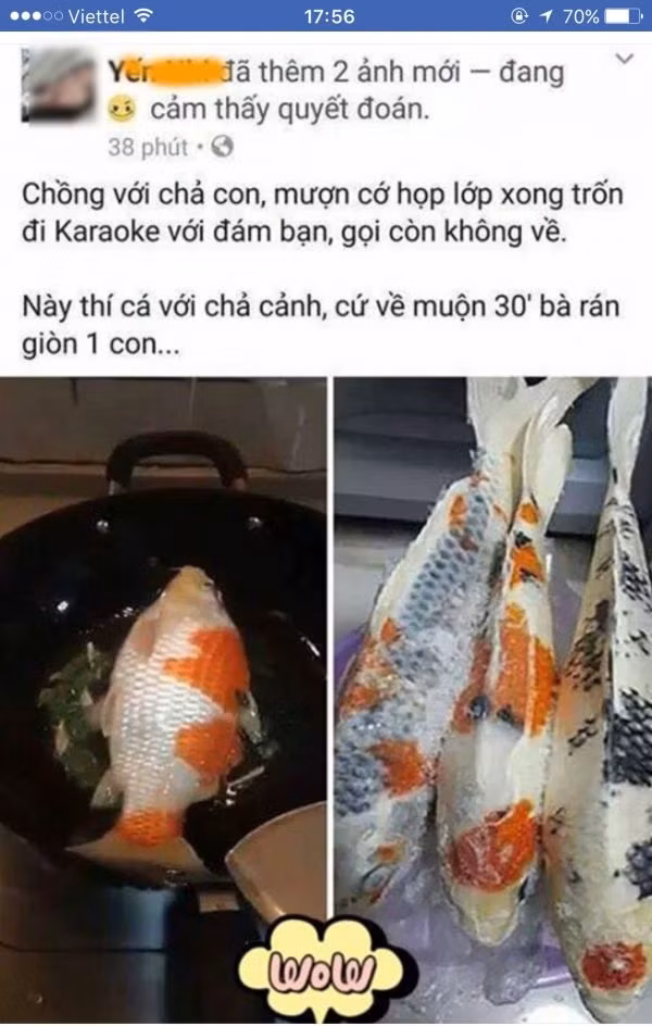 Trước đó, trường hợp một đàn cá coi tiền trăm triệu của chồng bị vợ đem ra làm thịt chỉ vì tội đi nhậu không về.