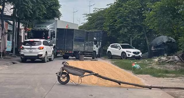 Việc dùng những chướng ngại vật để bảo vệ số thóc đang phơi trên lòng đường là điều không quá khó để tìm thấy.