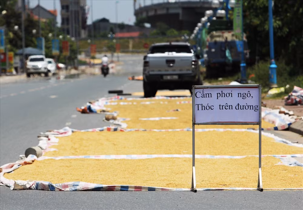 Nhiều người không đồng tình với việc tự ý dựng rào chắn không cho các phương tiện qua lại, chiếm dụng đường chung làm sân phơi thóc riêng của một số người nông dân.