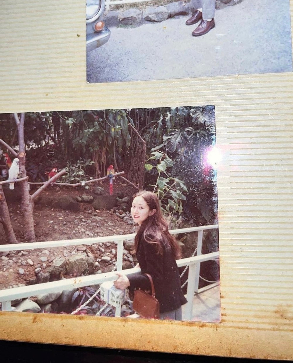 Trong các bức ảnh, người bà được trang điểm nhẹ nhàng bởi một chút son môi và lông mày.