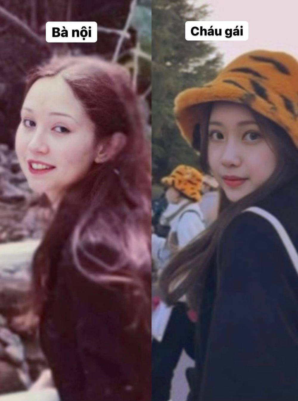 Nhìn vào bức ảnh ai nấy đều trầm trồ vì nhan sắc của cô nàng đã sao y bản chính từ bà nội của mình.