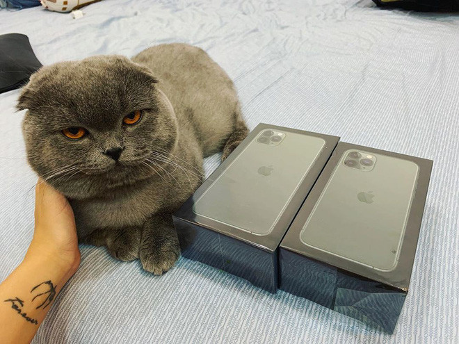 Trước đó, Linh Ngọc Đàm còn tậu được cho bố mẹ một căn nhà trong khu đô thị chung cư cao cấp ở Times City, Hà Nội.