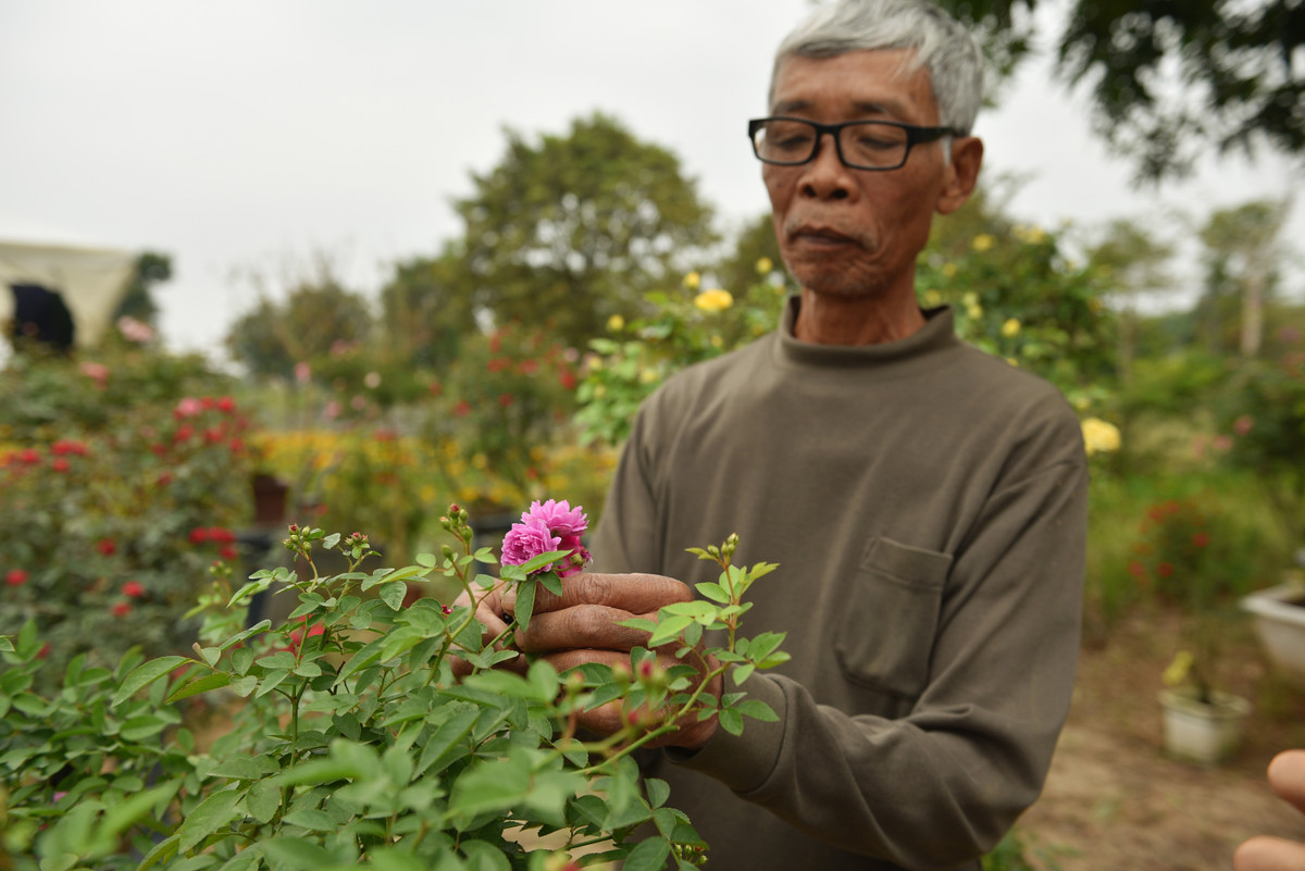 Đây là lần đầu tiên huyện tổ chức lễ hội hoa nên chúng tôi rất phấn khởi. Các hộ cùng chung tay tham gia, chuẩn bị từ trước nhiều tháng với mong muốn đưa tới một lễ hội thật nhiều màu sắc. Chúng tôi mong muốn có nhiều người dân, quý khách thập phương về tham dự lễ hội hoa hồng của Mê Linh, đây cũng là điều kiện để quảng bá cho người dân trồng hoa chúng tôi." Chủ Vườn hoa Xuân Thuỷ tham gia festival hoa Mê Linh cho biết thêm.