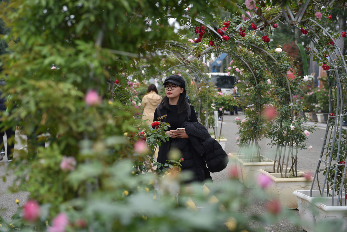 Nhân dịp này, huyện Mê Linh cũng vinh dự đón nhận quyết định huyện đạt chuẩn nông thôn mới, đón nhận Huân chương Lao động hạng 3, lễ công nhận Di tích quốc gia đặc biệt đền thờ Hai Bà Trưng là điểm đến du lịch.