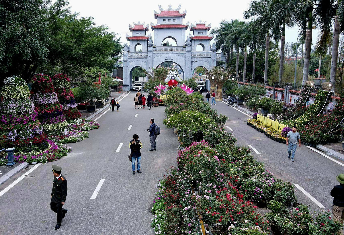 Trong đó 60% là hoa hồng, loài hoa chủ đạo của Mê Linh.