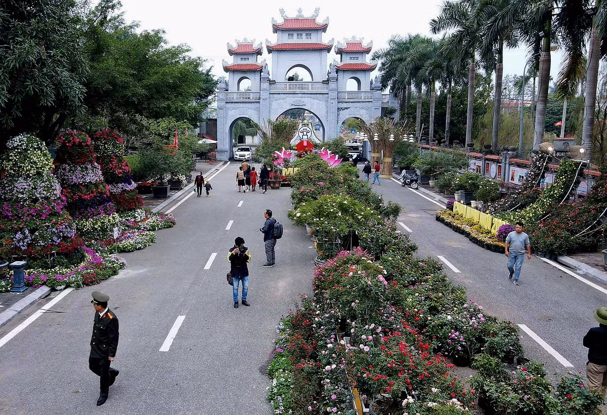 Trong đó 60% là hoa hồng, loài hoa chủ đạo của Mê Linh.