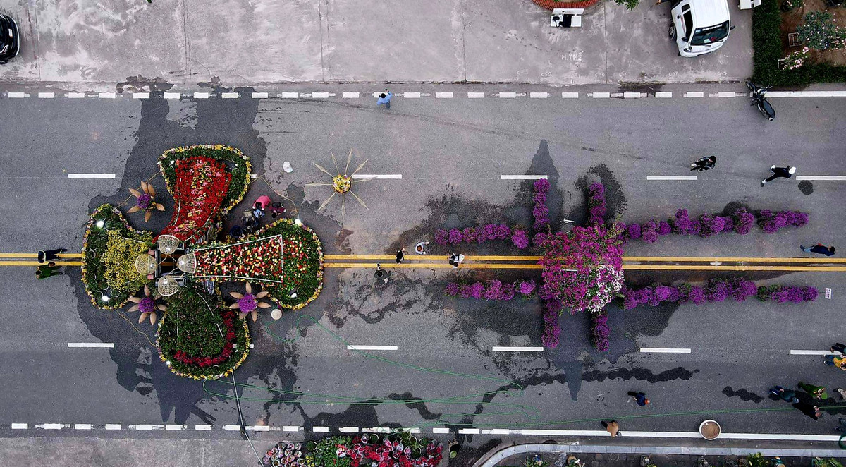 Bên cạnh còn có các loại hoa như cúc, diệp thảo, hướng dương...Hầu hết các hộ trồng hoa trên địa bàn huyện đều sẵn sàng, hứng khởi tham gia Festival hoa với hi vọng quảng bá thương hiệu hoa Mê Linh, một trong hai ' thủ phủ' hoa lớn nhất thủ đô tới các du khách thập phương.