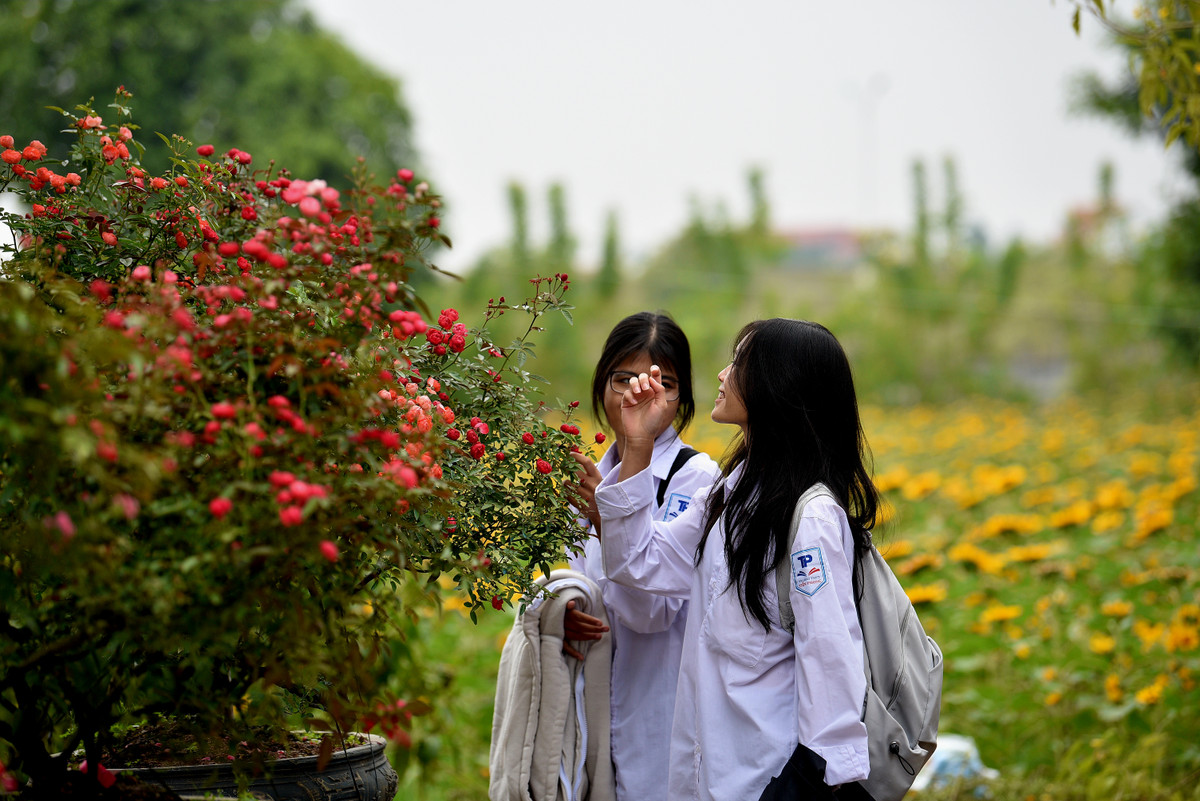 Em Lan Anh (Hạ Lôi, Mê Linh, Hà Nội) chia sẻ: “Đây là lần đầu tiên em thấy ở huyện tổ chức lễ hội hoa. Ngoài hội đền Hai Bà Trưng, chưa bao giờ em thấy lễ hội nào lớn và nhộn nhịp như thế. Ngày chính hội, em sẽ rủ bạn bè và gia đình đến để chơi và ngắm các loại hoa đẹp tại lễ hội”.