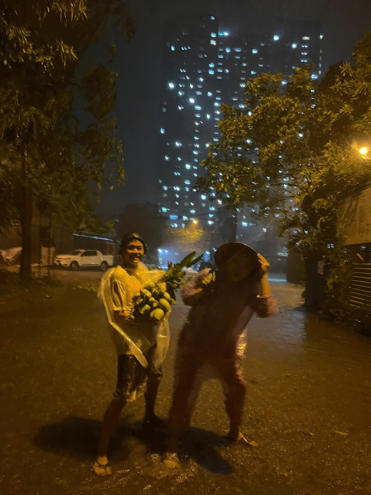 Tại một số khu dân cư khi cơn giông lốc của bão Yagi qua đi, người dân đã tranh thủ ra thu hoạch những quả xoài.