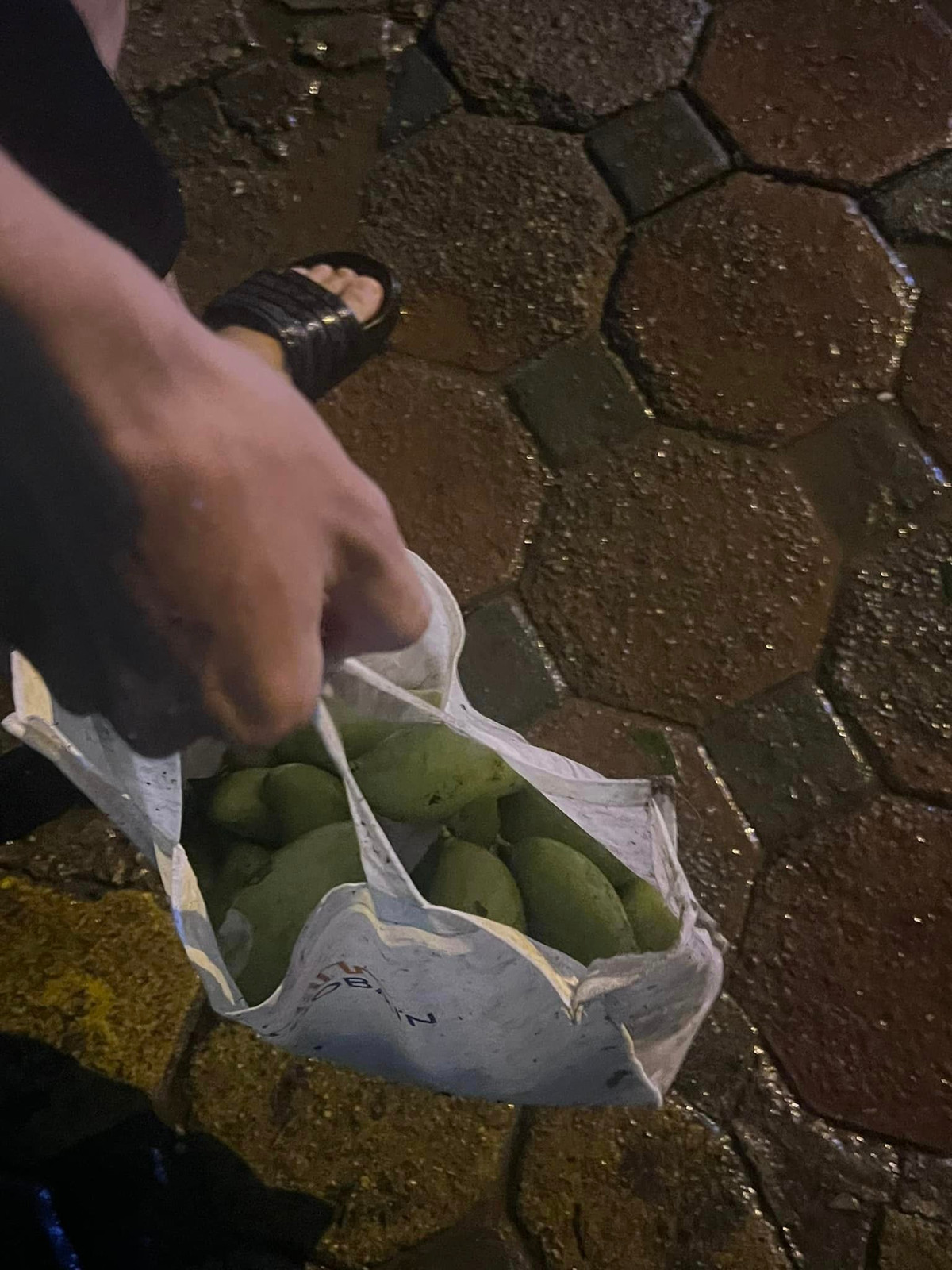 Túi lớn túi, túi bé bên trong đựng đầy những quả xoài xanh được netizen mang về nhà và khoe lên MXH.