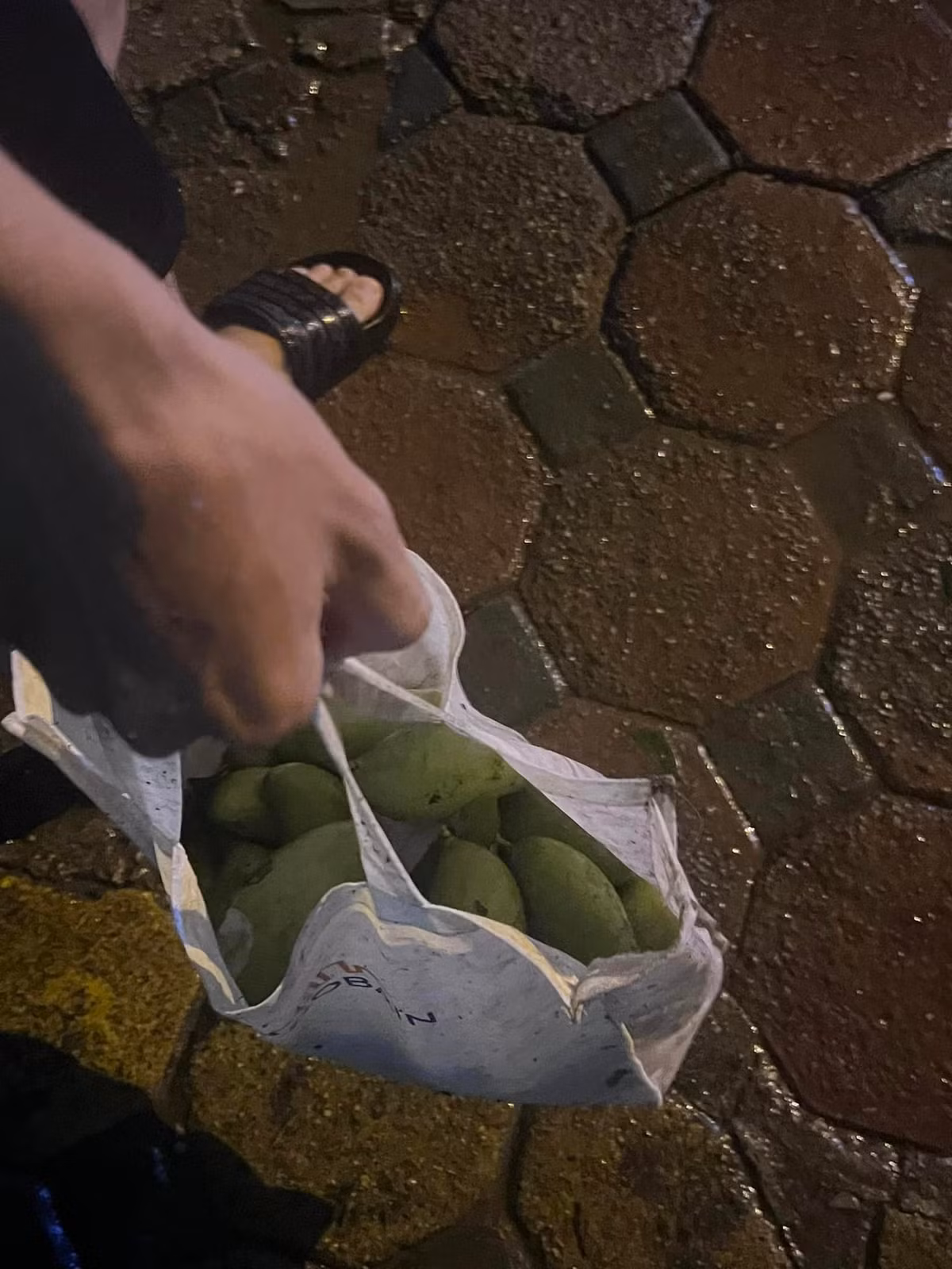 Túi lớn túi, túi bé bên trong đựng đầy những quả xoài xanh được netizen mang về nhà và khoe lên MXH.