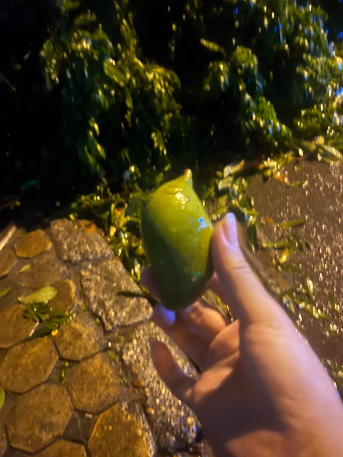 Trên nhiều hội nhóm, các netizen khoe chiến lợi phẩm của mình.