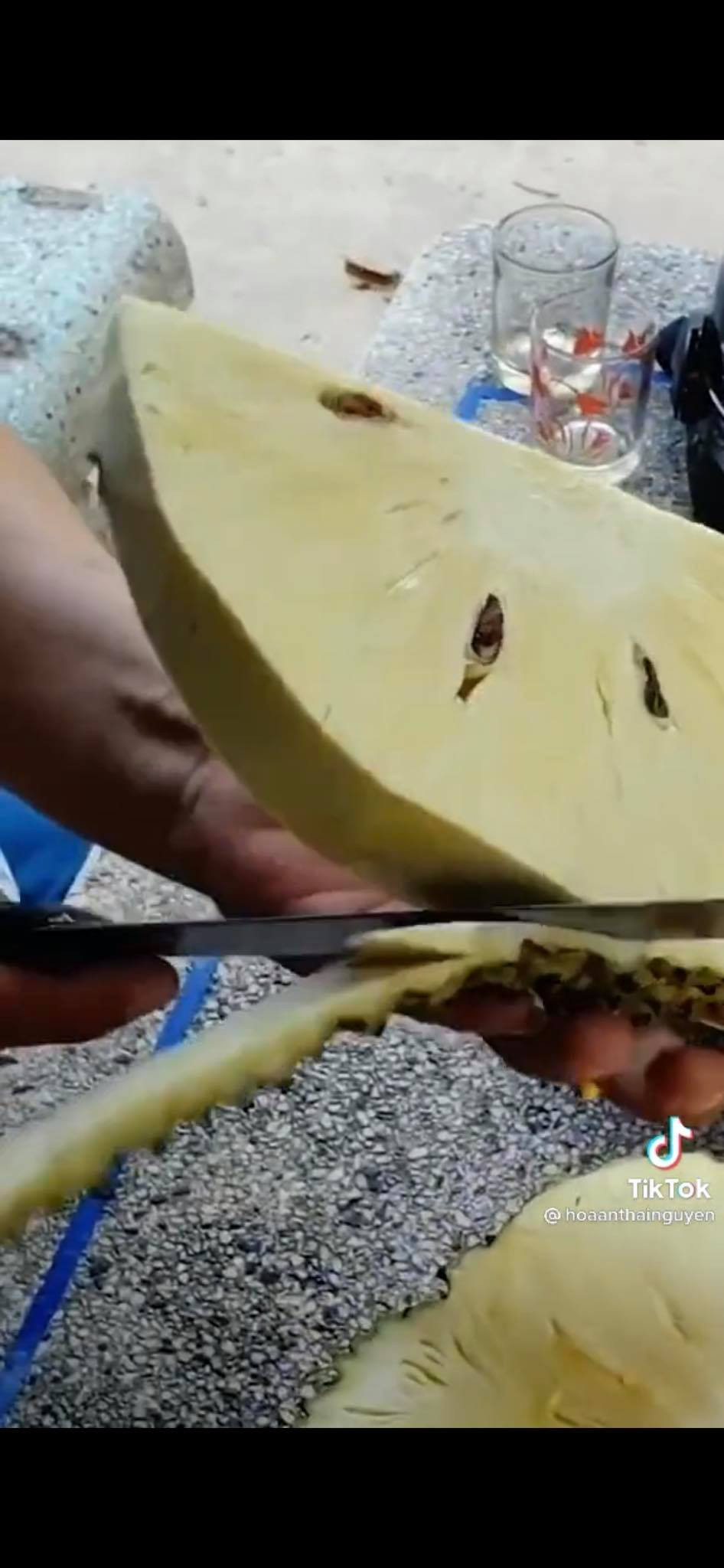 Ngay phía dưới clip bổ mít kiểu lạ đời trên, nhiều người đã cho rằng đây là quả sake nhưng rõ ràng là phần vỏ rất giống quả mít.