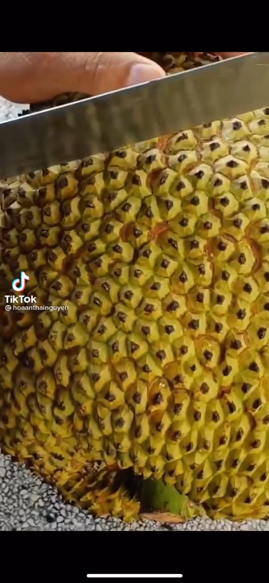 Qua mit duoc bo giong dua hau, netizen duoc phen binh luan rom ra