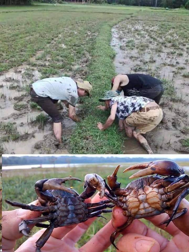 Mùa hè của thế hệ 9X là khoảng thời gian sôi động nhất trong năm của lũ trẻ. Hồi ấy, bọn trẻ chẳng bị áp lực học thêm kinh khủng như bây giờ, và gần như suốt 3 tháng nghỉ hè, công việc chính của đám trẻ là tận hưởng những niềm vui.