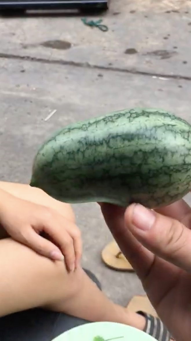 Mới đây, một clip đạt gần triệu view đang viral trên YouTube về quả dưa hấu được miêu tả "Đi cả Sài Gòn không đâu kiếm được trái này" khiến không ít netizen phải tò mò.
