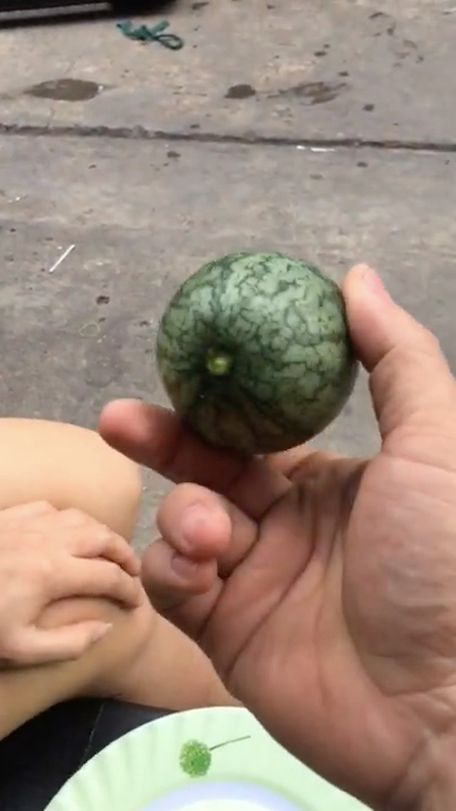 Khoảnh khắc quan trọng nhất trong đoạn clip được hé lộ đó là bổ dưa.