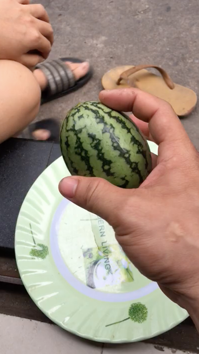 Thoạt nhìn, ai cũng nhận ra đó là trái dưa hấu nhưng với kích thước rất khác thường, còn chưa to bằng cái nắm tay người