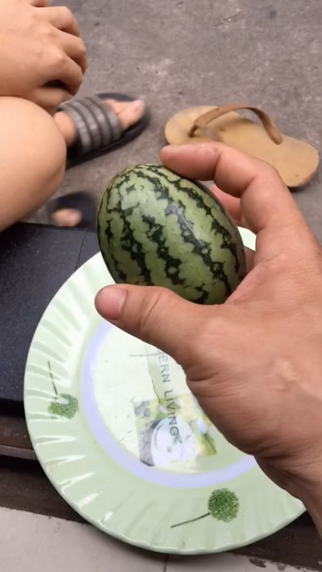 Thoạt nhìn, ai cũng nhận ra đó là trái dưa hấu nhưng với kích thước rất khác thường, còn chưa to bằng cái nắm tay người