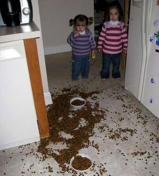 Bố mẹ đi làm lâu quá, các bé đói nên đã tự lấy thức ăn hạt ra để ăn nhưng ai ngờ lấy quá tay nên "toang" cả nhà.