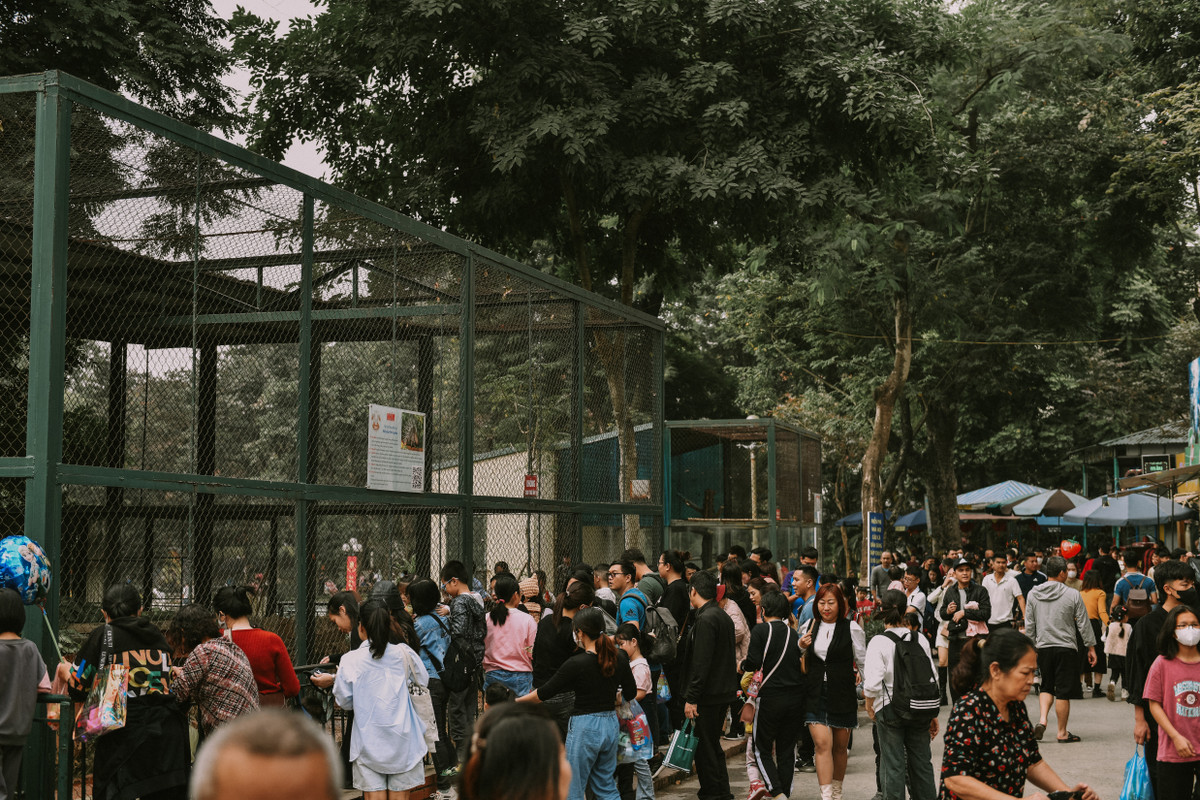 Trước các lồng thú, khá đông người dân tới thăm quan.