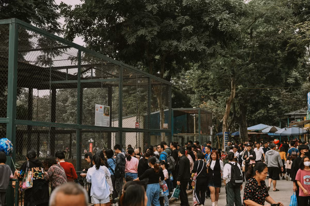 Trước các lồng thú, khá đông người dân tới thăm quan.