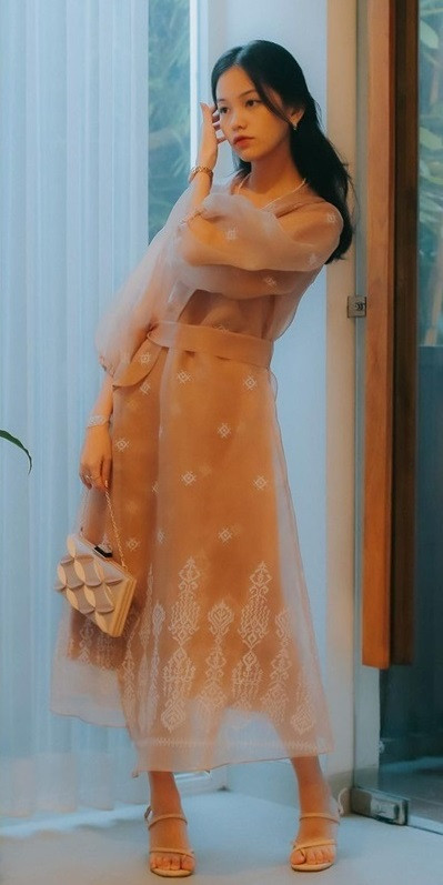 Chính vì thế mà xuất hiện nhiều lời đồn đoán cho rằng Ann đã từ bỏ ngành luật. Tuy nhiên chính chủ vẫn chưa lên tiếng giải thích hay xác nhận tin tức này.