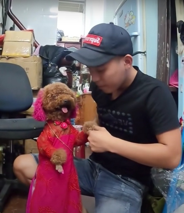 Đoạn video đăng tải lên mạng xã hội về chú chó làm toán này đã thu hút sự chú ý của đông đảo dân tình. Mọi người dành lời khen vì chú chó quá đáng yêu và thông minh. Mong rằng, ông chủ luôn yêu thương và bảo vệ chú chó cẩn thận.