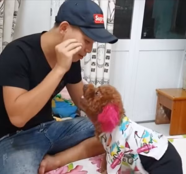 Ngoài ra chú chó còn biết đứng lên, ngồi xuống, bắt tay, làm toán và sủa theo mệnh lệnh của chủ. Tất cả các yêu cầu mà ông chủ đưa ra đều được chú chó thực hiện một cách rất nhanh chóng và nhiệt tình.