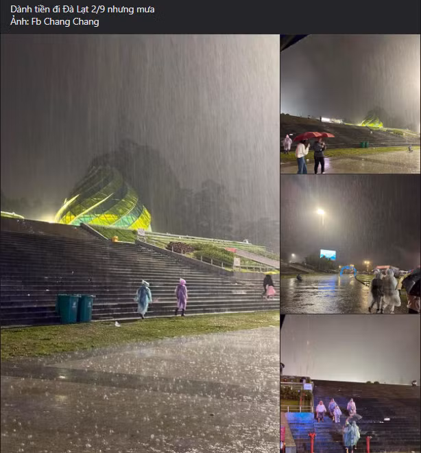 Bài đăng dành tiền đi Đà Lạt 2/9 nhưng mưa thu hút được sự chú ý nhiều của netizen.
