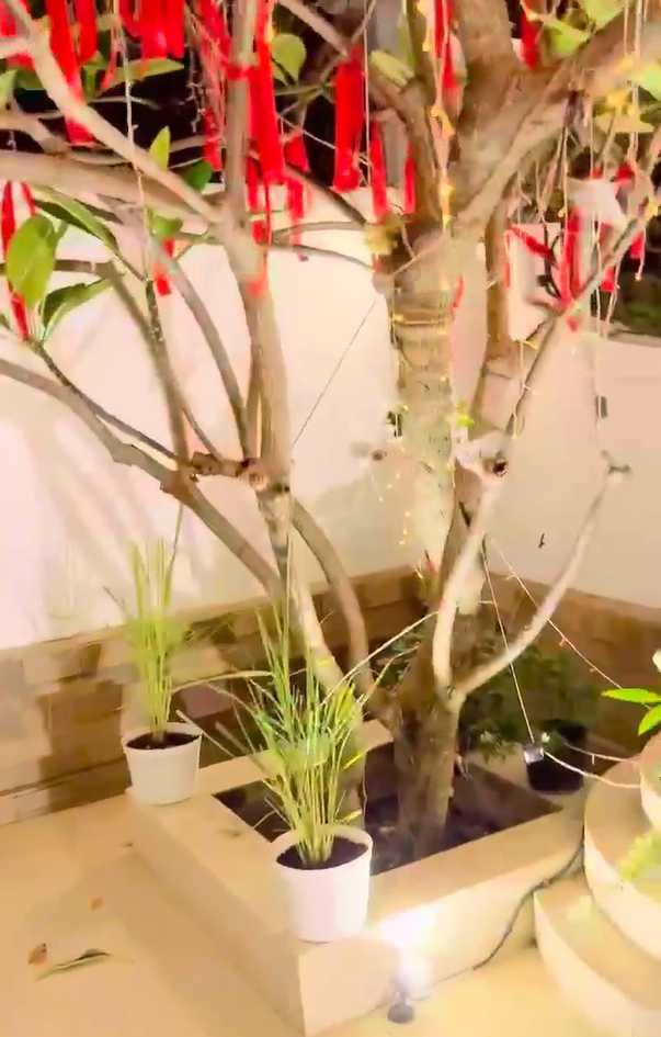 Khuôn viên căn nhà bỗng bị "phá vỡ" thiết kế sang chảnh vốn có nhưng cả hai đều rất vui vẻ trêu đùa nhau khi gặp sự cố này.