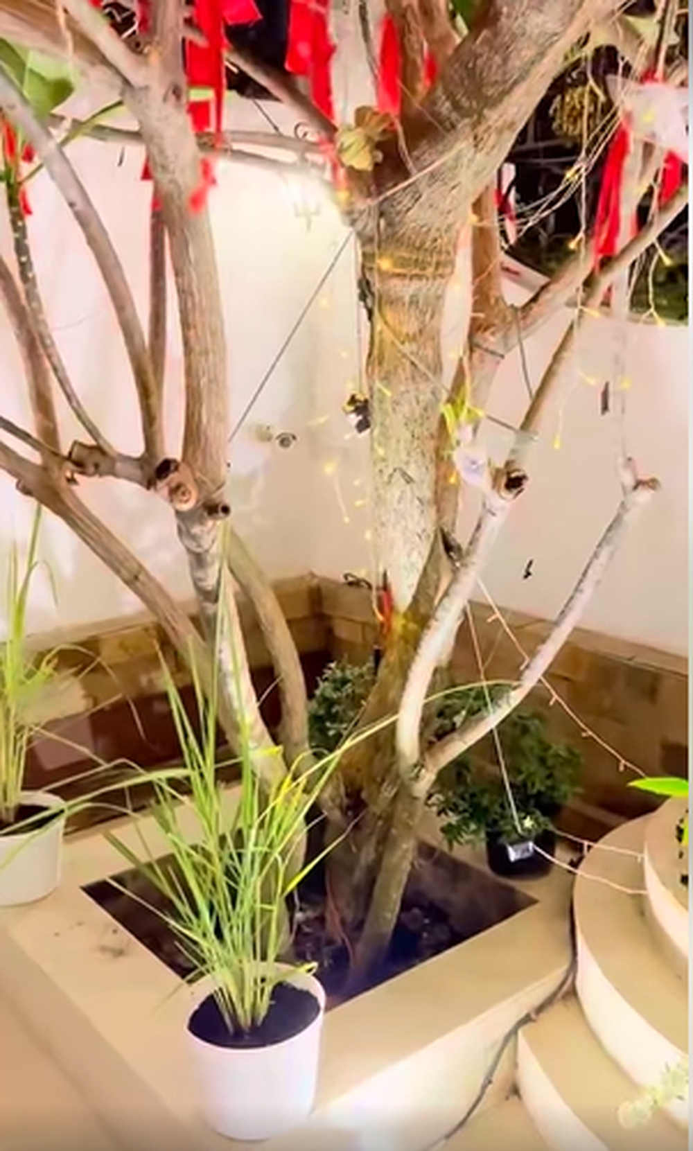 Trong đoạn clip vừa được đăng tải, chồng Đoàn Di Băng trình bày lý do: "Hôm qua có một con rắn bò vào khu nhà, mà cũng không phải vào trong nữa nó bò trên tường mấy cái cây rồi bò đi luôn thôi mà con rắn nhỏ như que đũa. Bả ngồi ăn ở trong dòm ra thấy bả sợ chạy lên phòng đóng cửa kín mít".