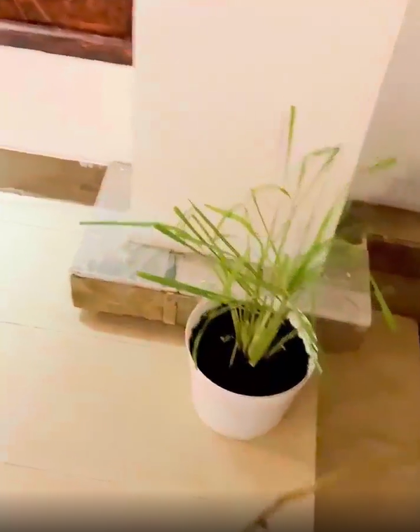 Chưa hết chồng nữ đại gia than thở: "Thiệt tình, bà này bả hành! Vợ mình suốt ngày bày trò cho mình không à! Nhưng nói gì thì nói, mình cũng khoái, vui cười suốt ngày".