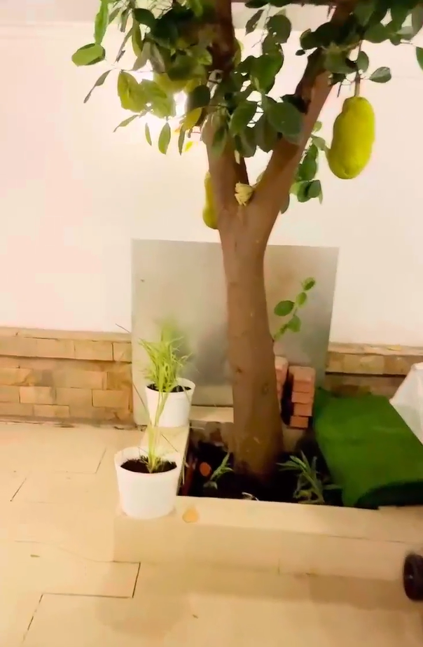 Ngoài nội thất sang trọng, căn biệt thự của "nữ đại gia quận 7" còn gây ấn tượng với lối thiết kế kiểu nhà vườn.