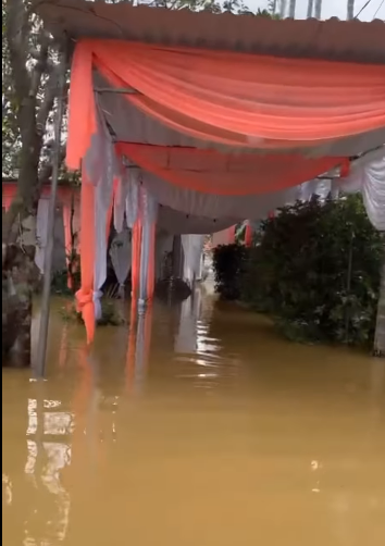 Vì lo sợ sang gần tháng 11, trời sẽ mưa nên cả nhà đã quyết định chọn ngày 16 cho sớm. Tuy nhiên mọi chuyện lại không như mong đợi.