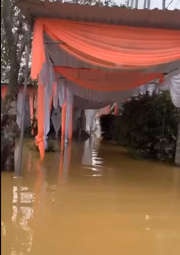 Vì lo sợ sang gần tháng 11, trời sẽ mưa nên cả nhà đã quyết định chọn ngày 16 cho sớm. Tuy nhiên mọi chuyện lại không như mong đợi.