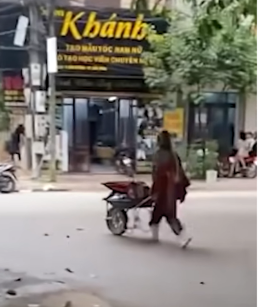 Hình ảnh tất tưởi đẩy xe rùa với ngồn ngộn đồ đạc của Bella khiến ai cũng phải phì cười.