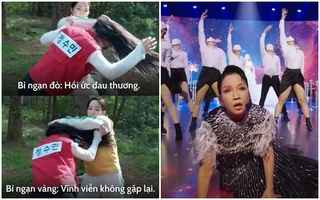 Kiều Minh Tuấn hay Ngọc Phước dùng hình ảnh hài hước của chính mình để thể hiện ý nghĩa của từng loại hoa bỉ ngạn. Duy Khánh, Võ Tấn Phát lại nước mắt ngắn dài, giả vờ xúc động khi nghe về mỗi loại hoa. Mỗi clip đều nhận được hàng trăm nghìn đến cả triệu lượt xem.